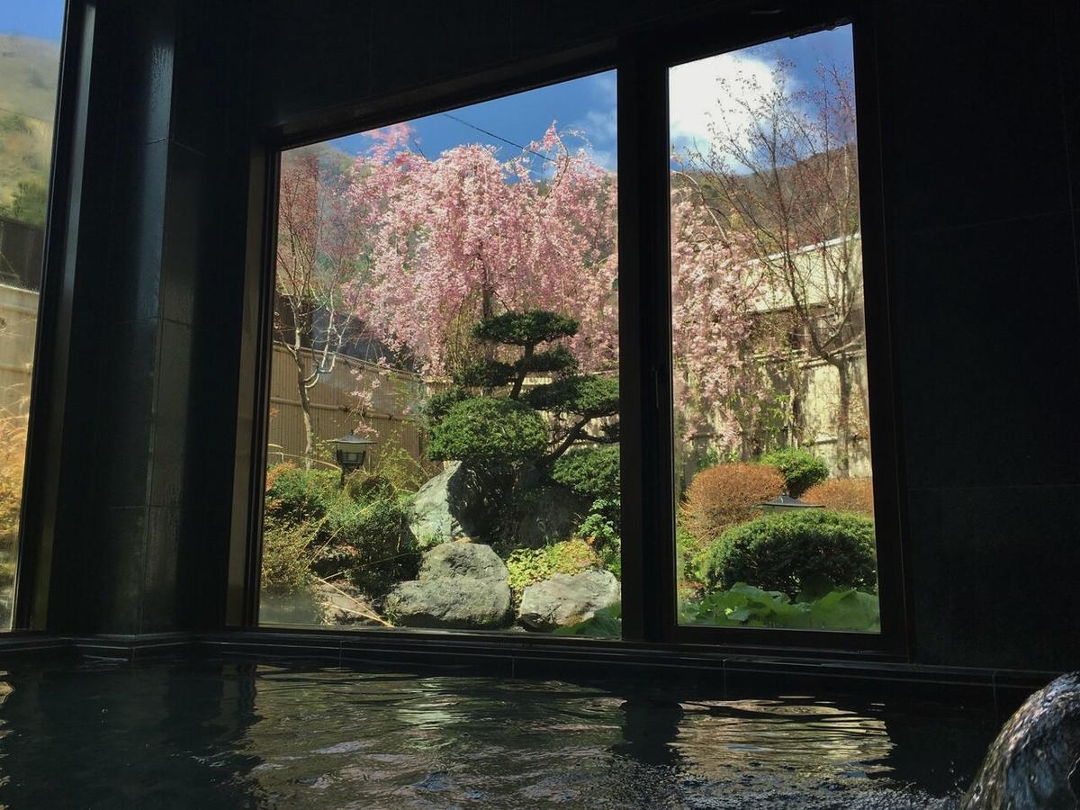 Shoji Mount Hotel Fudžikawagučiko Exteriér fotografie